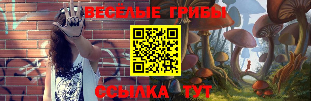 Галлюциногенные грибы Cubensis Амурск
